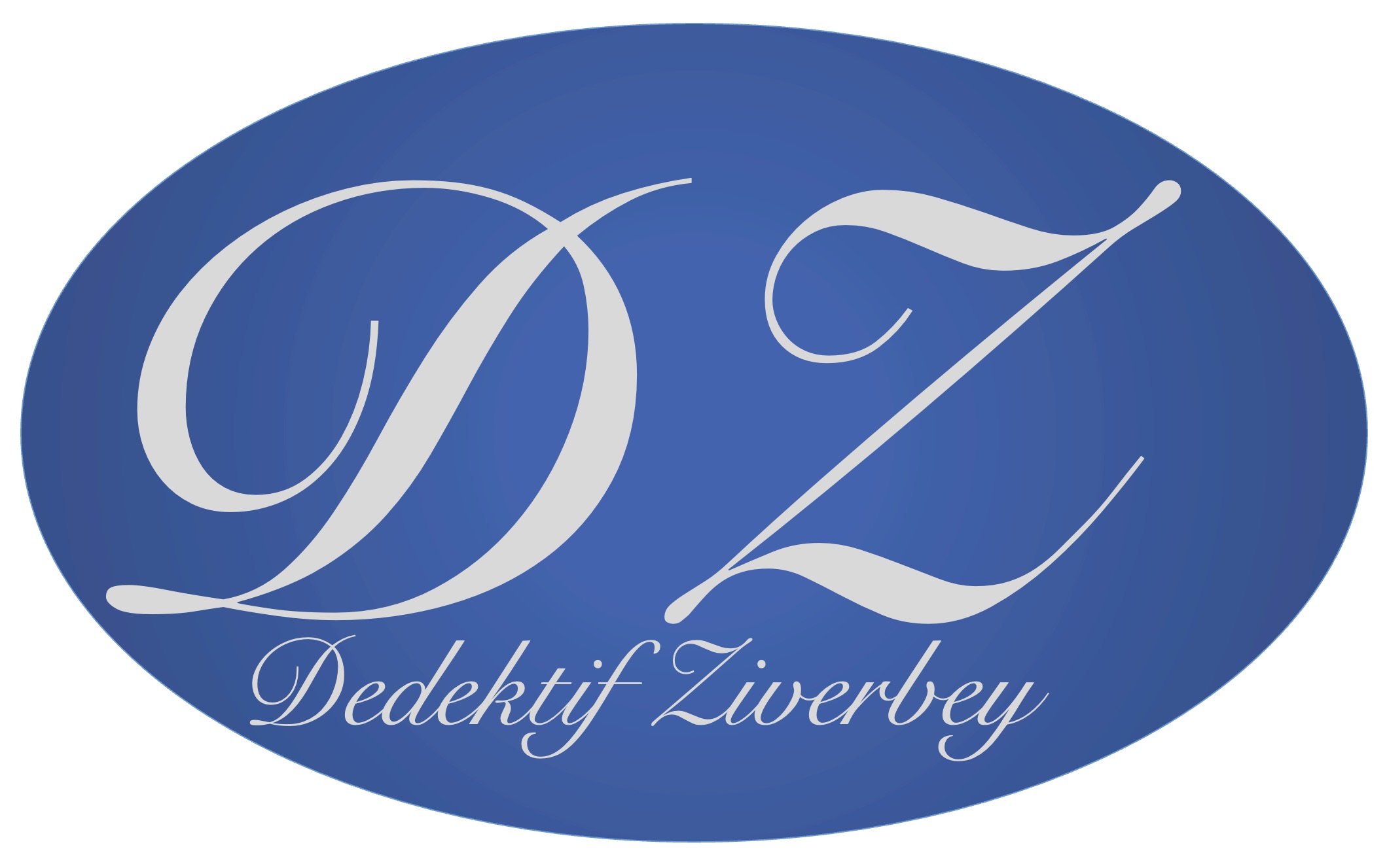 DZ Logo 2.jpeg